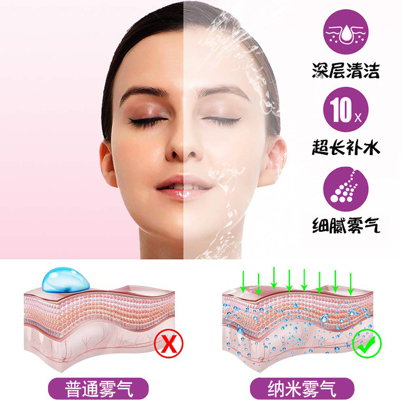 美容蒸脸器热喷保湿补水仪泰东蒸脸美容仪器台式热喷美容喷雾DT03 2